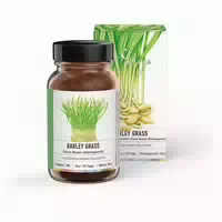 Sekoya Swiss Barley Grass Säure Basen Gleichgewicht