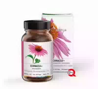 Sekoya Swiss Echinacea