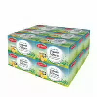 Selen Grüner Tee Ingwer Zitrone 12 Packungen 432 G