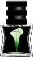 Sg79 | Sthlm No 22 Green Eau De Parfum Edp 15 ml
