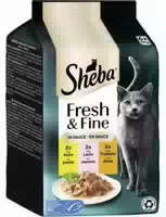 Sheba Kitten in Sauce mit Huhn