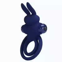 Pretty Love Darey Rabbitvibrator 1 St