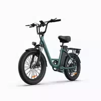 Urlife E20 20 X 3,0 Fatbike Elektrofahrrad, 48v 13ah Akku 1 st