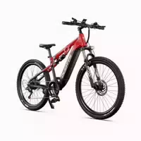 Duotts E29 27,5 Offroad E Bike 250w 48v 13,5ah 1 st