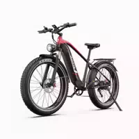 Duotts F26lite E Bike 500w 48v 18ah 26x4,0 Zoll 1 st