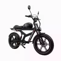 Duotts F20 Offroad Elektrofahrrad mit 52v 27ah Akku 1 st