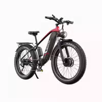 Duotts F26 Elektrofahrrad 48v 17,5ah 750w 2 Dualmotoren 1 st