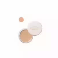 Shiseido Spots Cover Foundation 20g S100
