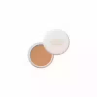 Shiseido Spots Cover Foundation 20g S101