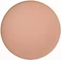 Shiseido Tanning Compact Foundation Spf10 Refill Suncare Sun Tan Comp Fdt Bronze Refill