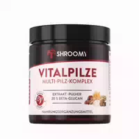 Shroomy Pilz Komplex Extrakt Pulver mit 6 Vitalpilzen