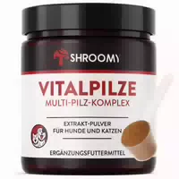 Shroomy Vitalpilze – Zur Unterstützung Von Verdauung & Wohlbefinden Bei Hunden & Katzen