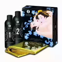 Shunga Body To Body Massagegel Mit Aroma Exotic Fruits