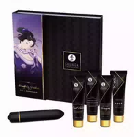 Shunga Erotic Art Naughty Geisha Kit