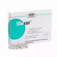 Sibosan Kapseln 30 St Kapseln