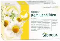 Sidroga Wellness Grüntee mit Nana Minze 20x1 5 g Tee