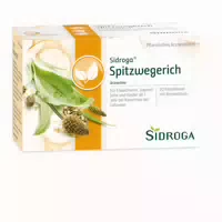 Sidroga Spitzwegerich Filterbeutel