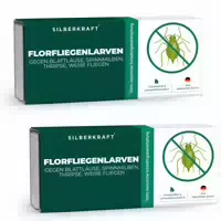 Silberkraft Florfliegenlarven