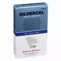 Silvercel Hydroalginat Verba