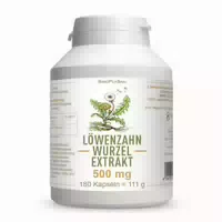 Sinoplasan Löwenzahnwurzel Extrakt 500 mg