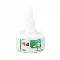 Skingel