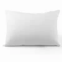 Softsan Protect Bioactive Allergiker Kopfkissen Inkl Milbenschutzbezug, 40 X 60 cm
