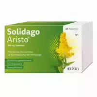Solidago Aristo 300mg Tabletten 100 st Tabletten
