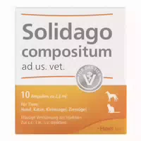 Solidago Compositum Ampullen Ad Usus Veterinär