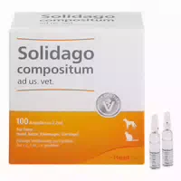 Solidago Compositum Ampullen Ad Usus Veterinär