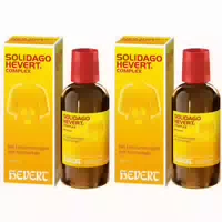 Solidago Hevert Complex Tropfen 100 ml Tropfen