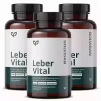 Solvisan Leber Vital | Mariendistel, Artischocke, Löwenzahn
