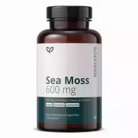 Solvisan Sea Moss 600 Mg| Chondrus Crispus Knorpeltang