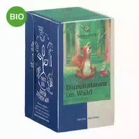 Sonnentor Durchatmen im Wald Bio Kräutertee