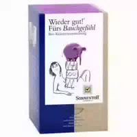Sonnentor Fürs Bauchgefühl Tee Wieder Gut!