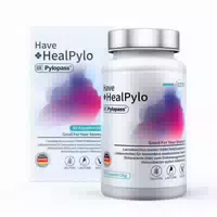 Sonnesee Helicobacter Pylori Komplex