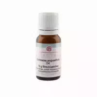 Echinacea Angustifolia D 4 Globuli