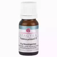 Eupatorium Perfoliatum D 12 Globuli 10 G