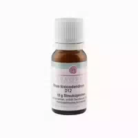 Rhus Toxicodendron D 12 Globuli 10 G Globuli
