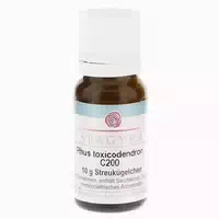 Rhus Toxicodendron C 200 Globuli 10 g