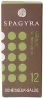 Schüssler Nr 12 Calcium Sulfuricum D 6 Globuli 10 g