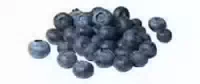 Blaubeeren