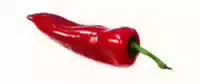 Mini Paprika, Rot Orange Gelb