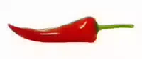 Spitzpaprika, Rot