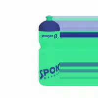 Bidon 750ml Grün Transparent Anthrazit