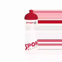 Bidon 750ml Olivgrün Schwarz