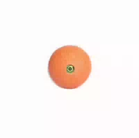 Sporlastic Blackroll Ball