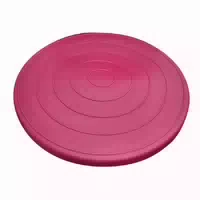 Sport Thieme Balance Disc Air