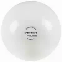 Sport Thieme Gymnastikball 300