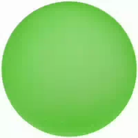 Sport Thieme Handtrainer Physioball