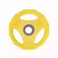 Sport Thieme Hantelscheibe Gummi für Pumpset